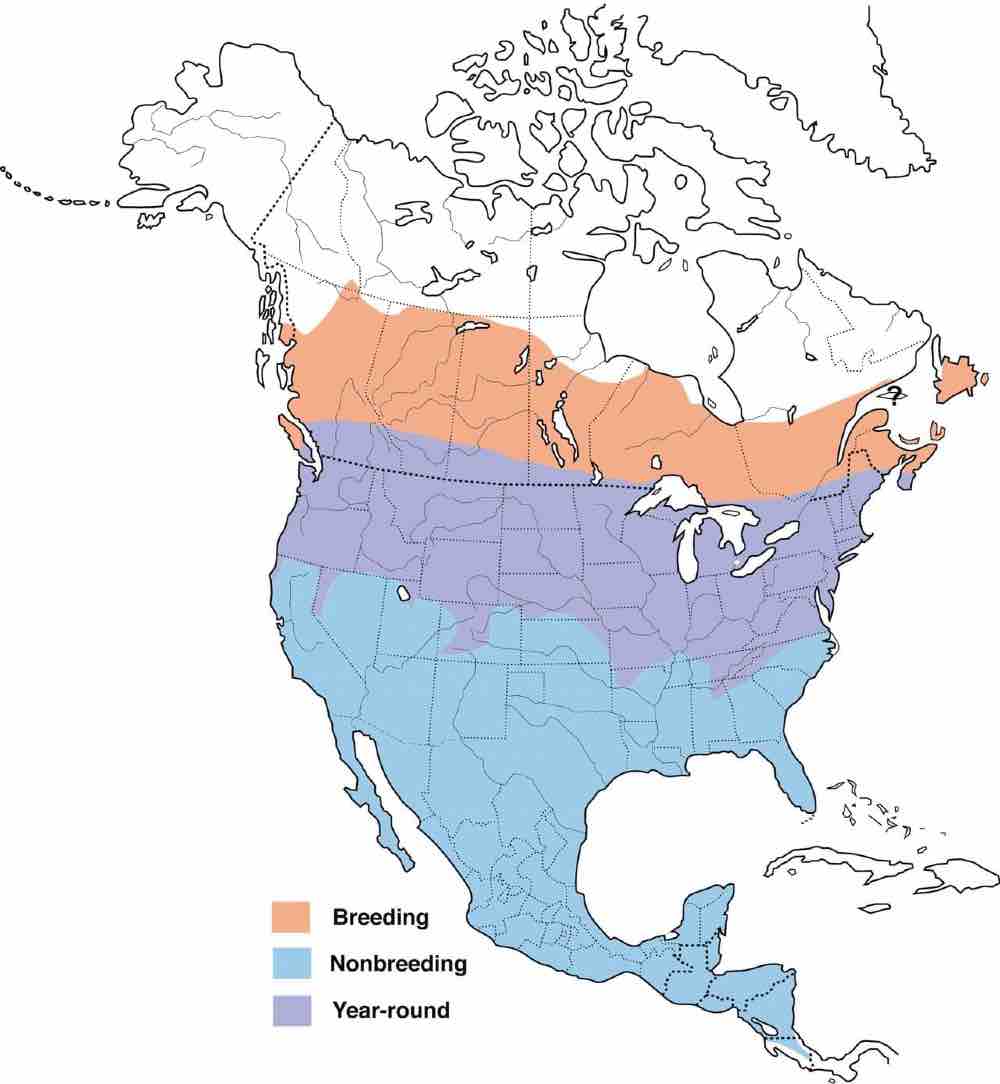Mapa de EE. UU. que muestra el rango de migración del ala de cera de cedro