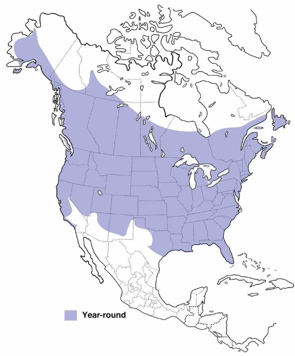 Mapa de distribución del pájaro carpintero velloso