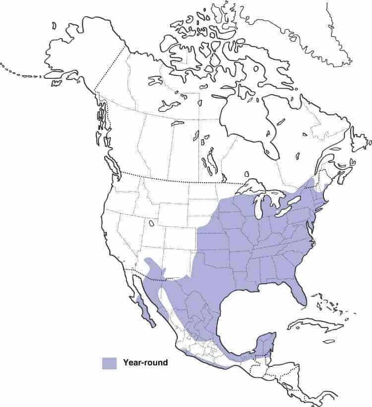 Mapa de rango cardinal norte