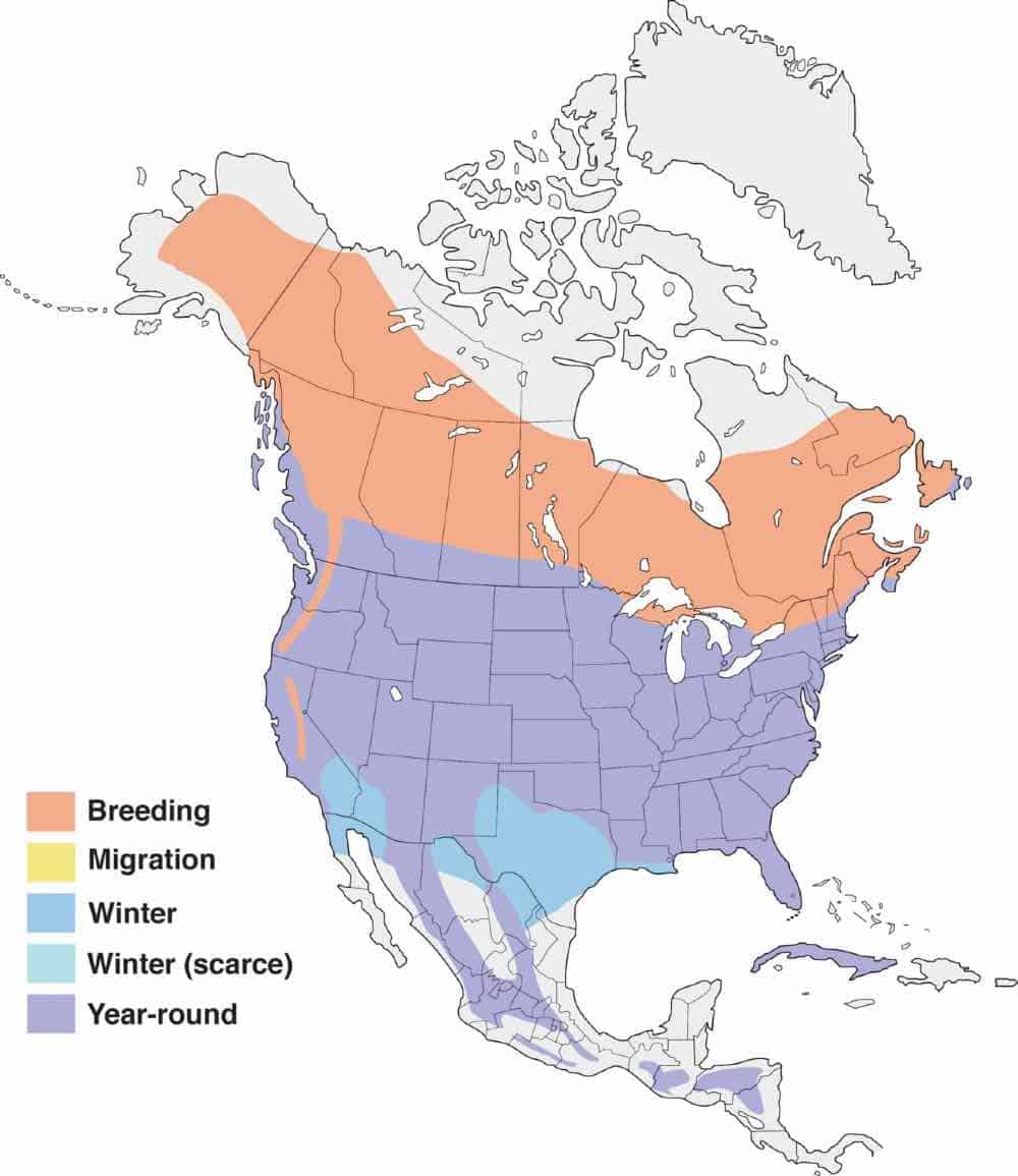 Mapa de rango de parpadeo del norte