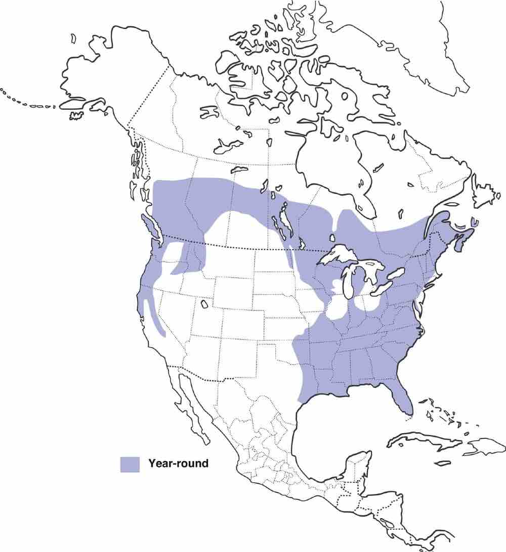 Mapa de EE. UU. que muestra el rango del pájaro carpintero pileated
