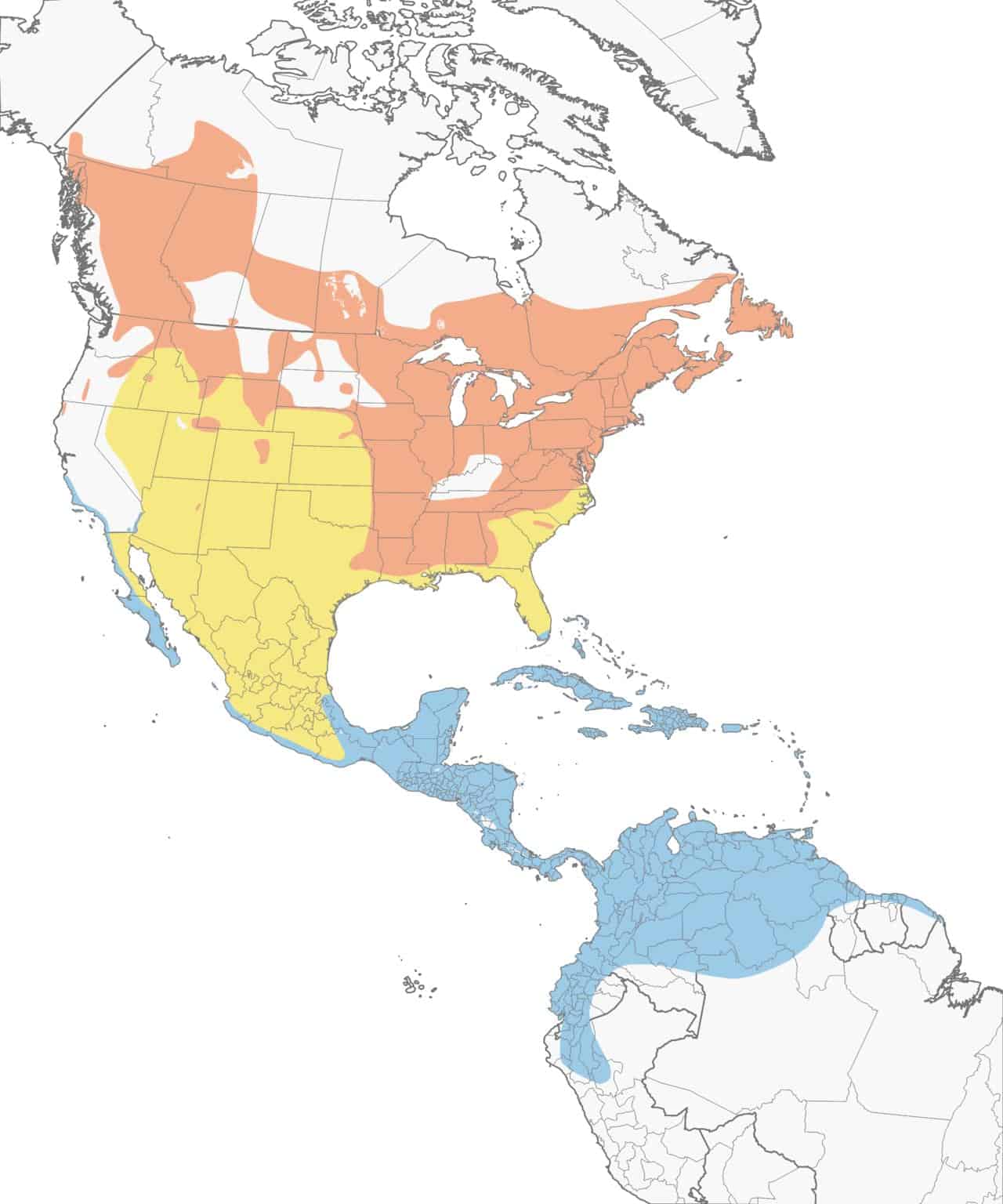 Mapa de rango de colirrojo americano