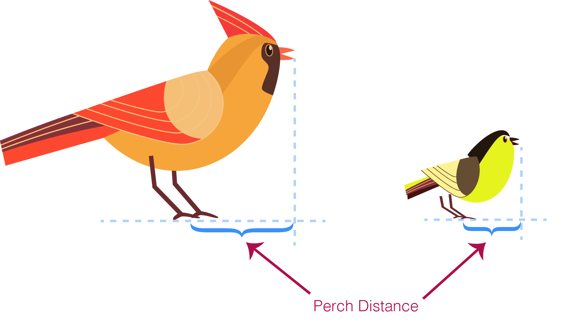 ilustración de cardenal y carbonero que muestra la distancia de percha para cada uno