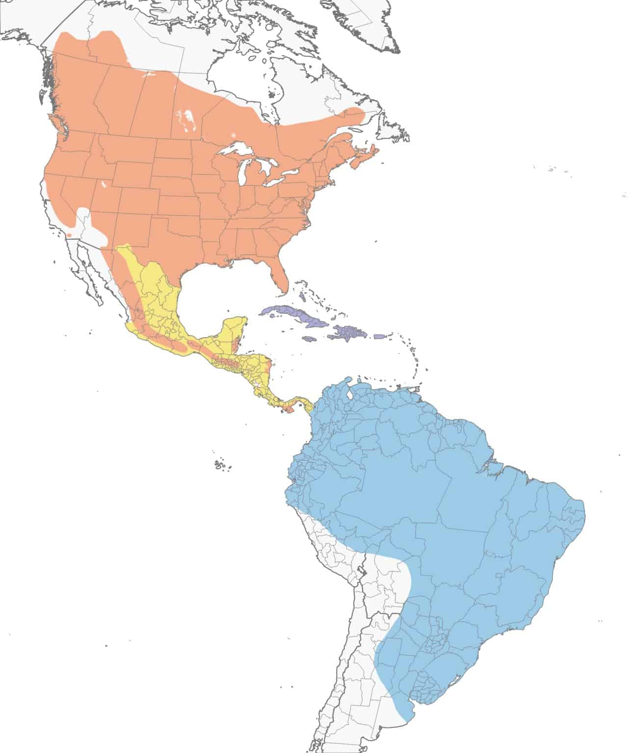 Mapa de rango de chotacabras común.