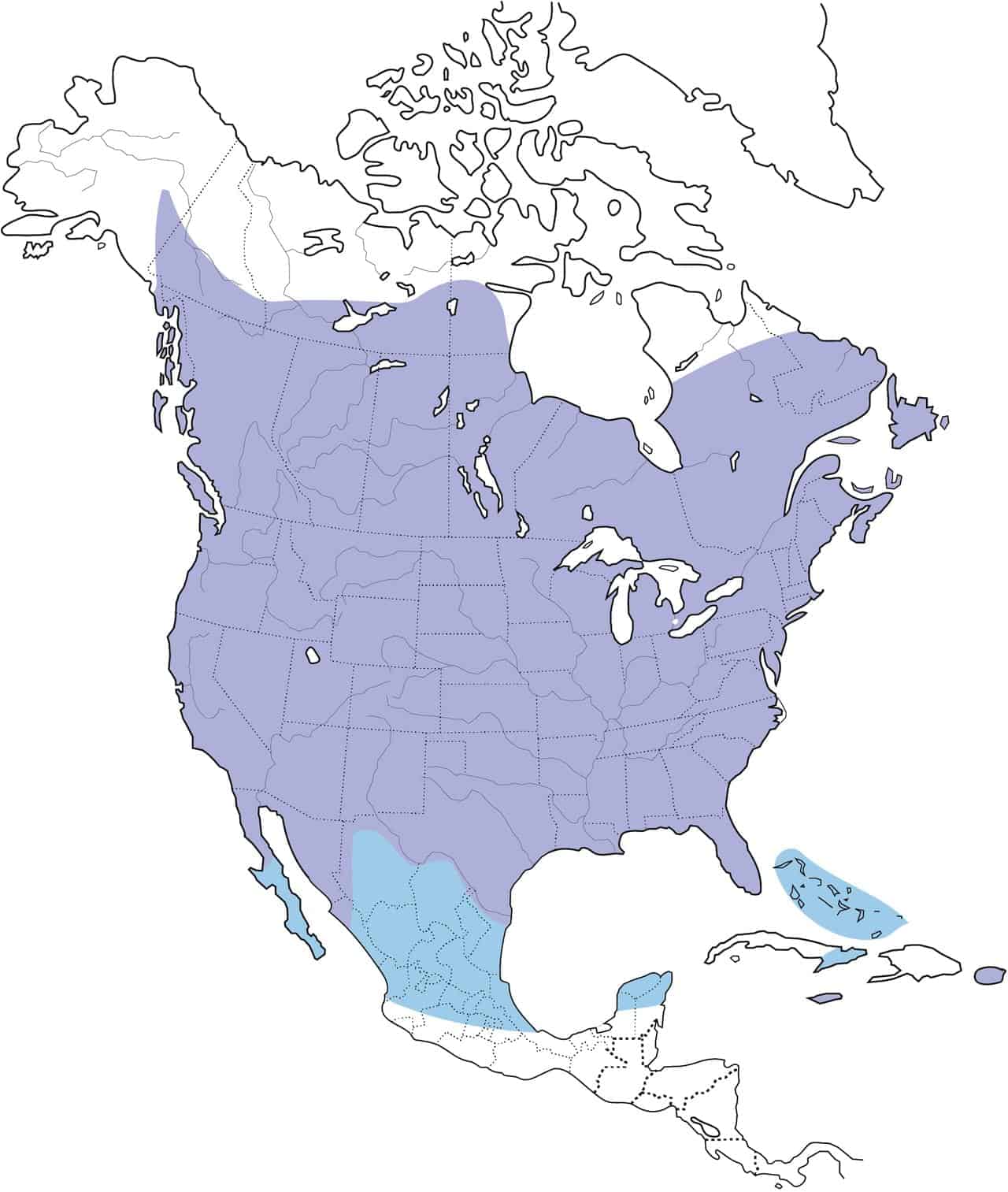 Mapa de distribución del estornino europeo