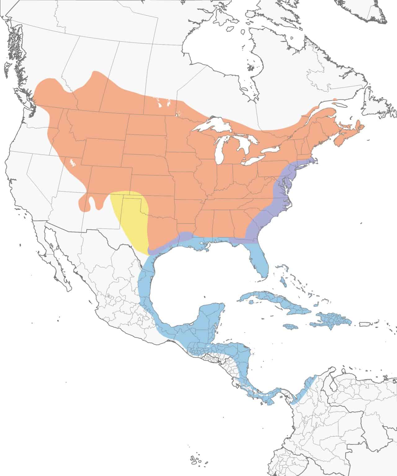 Mapa de rango de pájaro gato gris.