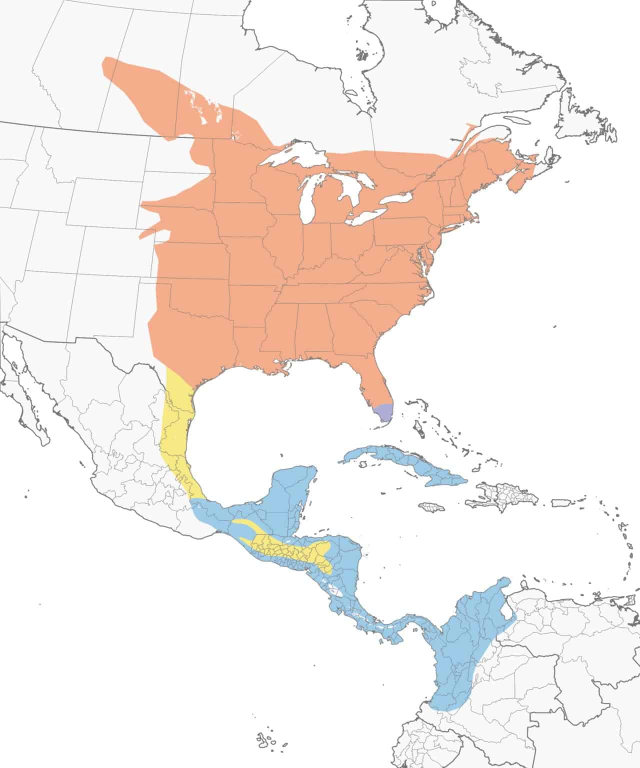 Gran mapa de distribución del papamoscas crestado.