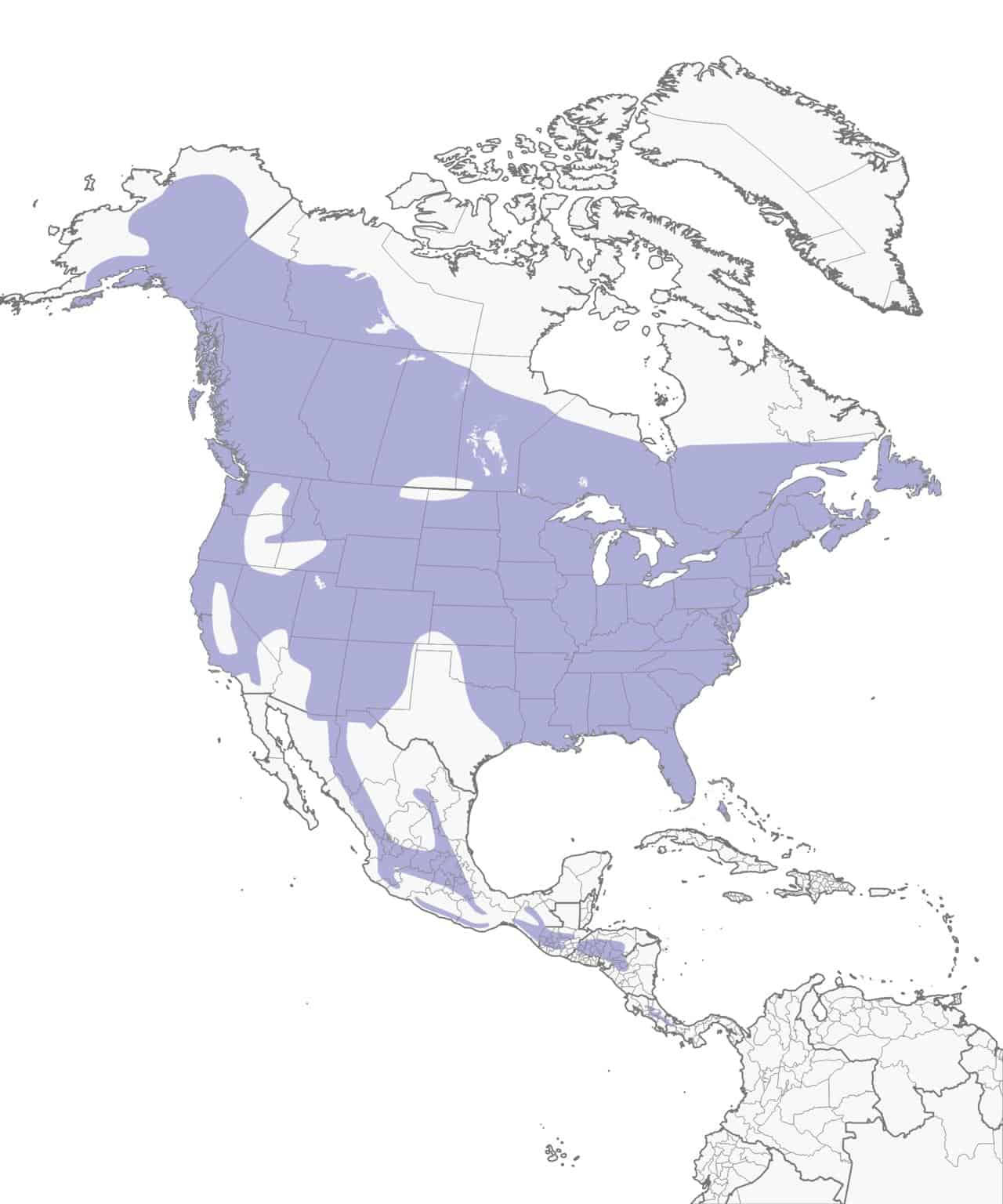 Mapa de distribución del pájaro carpintero peludo.