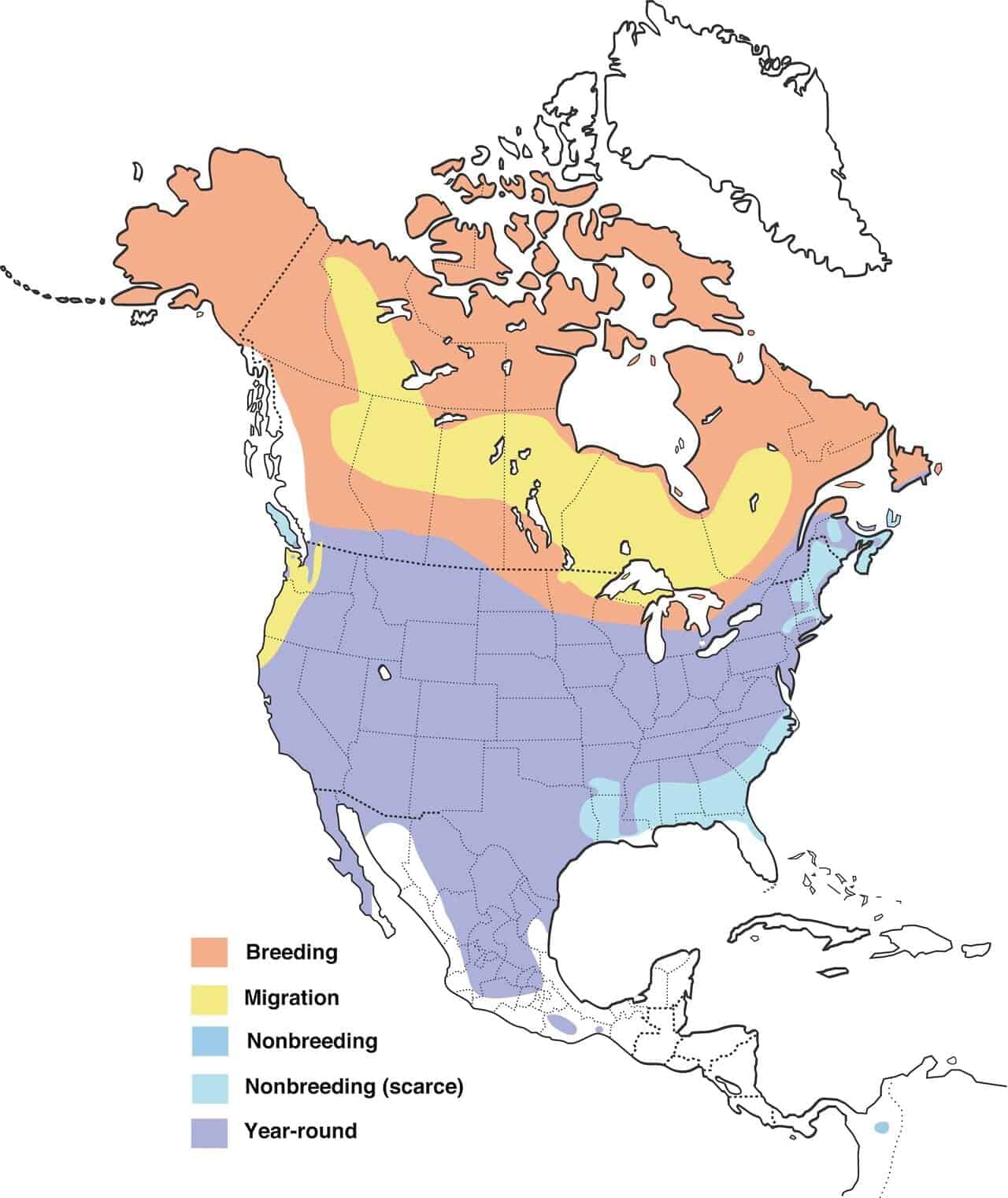 Mapa de distribución de la alondra cornuda.