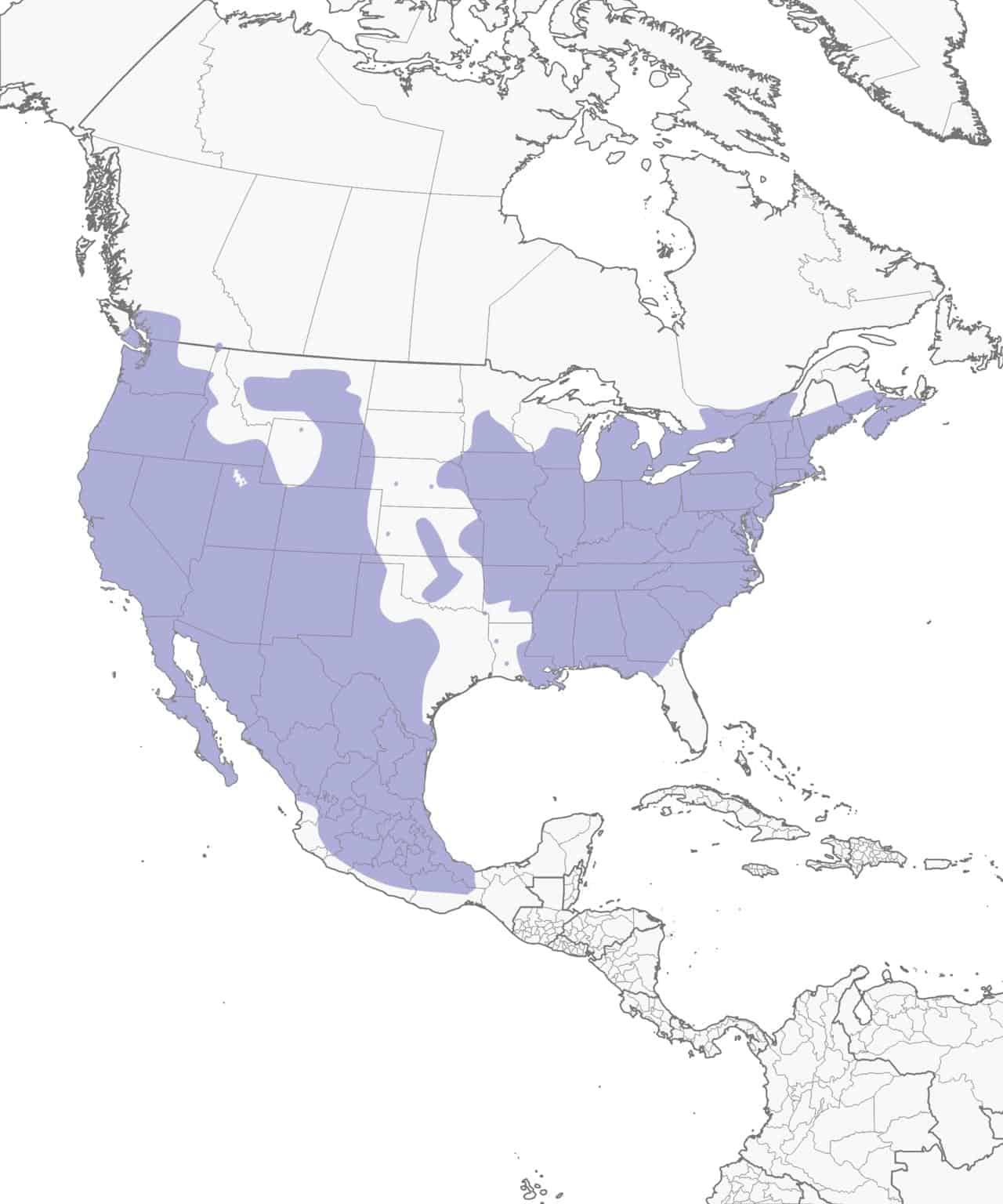 Mapa de distribución del pinzón doméstico.