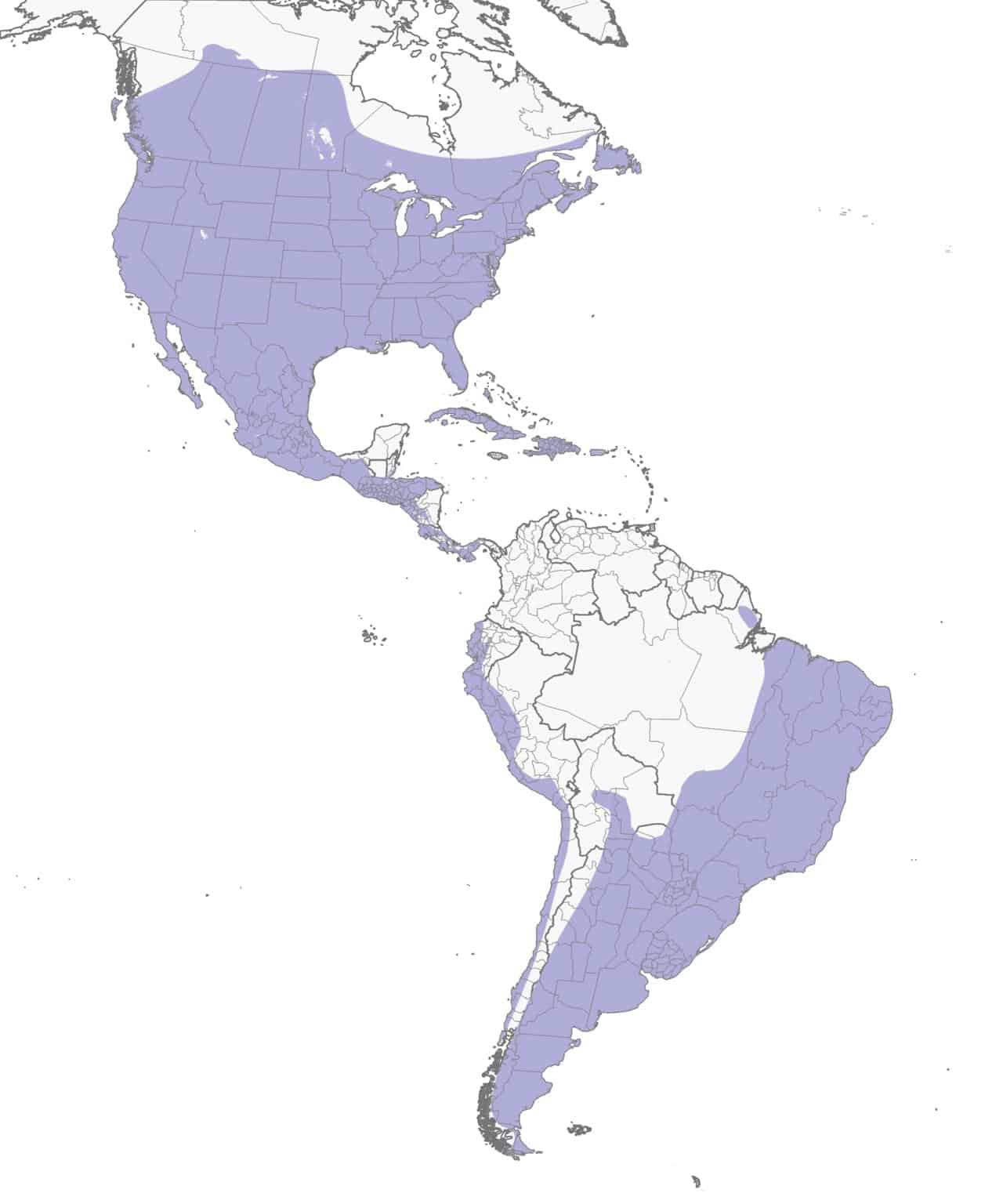 Mapa de distribución del gorrión común.