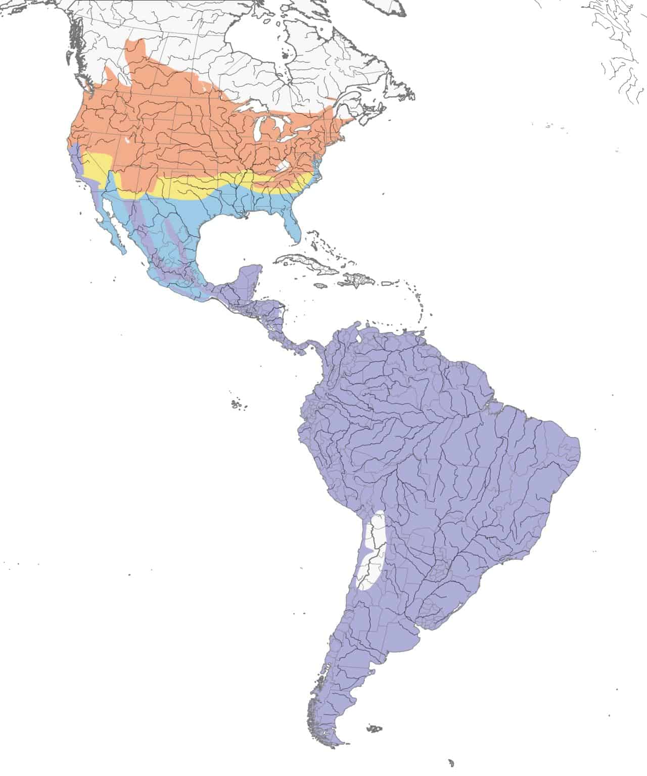 Mapa de distribución del reyezuelo doméstico.