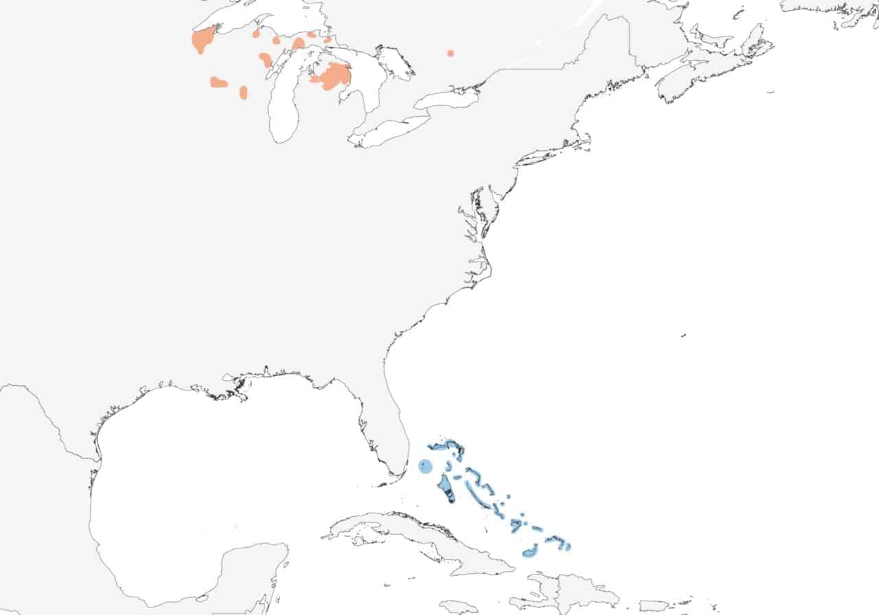 Mapa de distribución de la curruca de Kirtland.