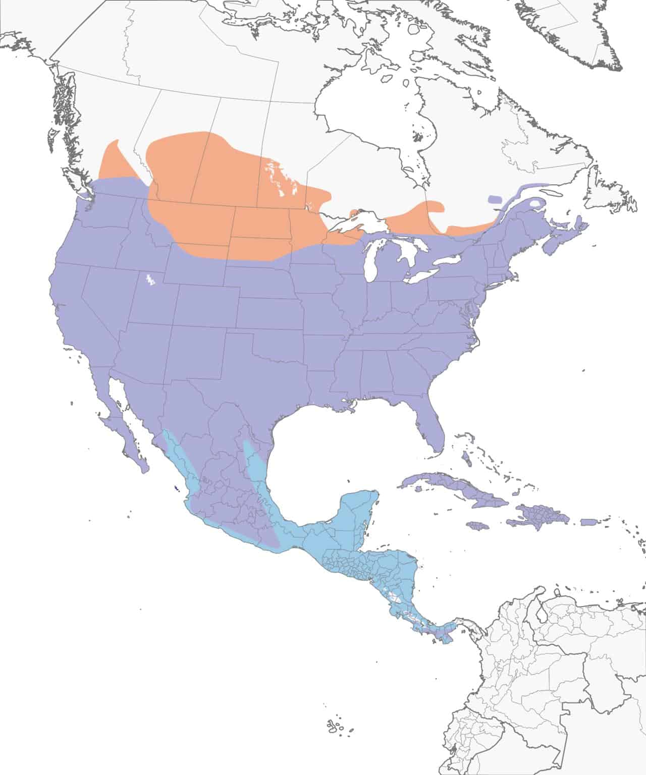 Mapa de distribución de la paloma de luto.