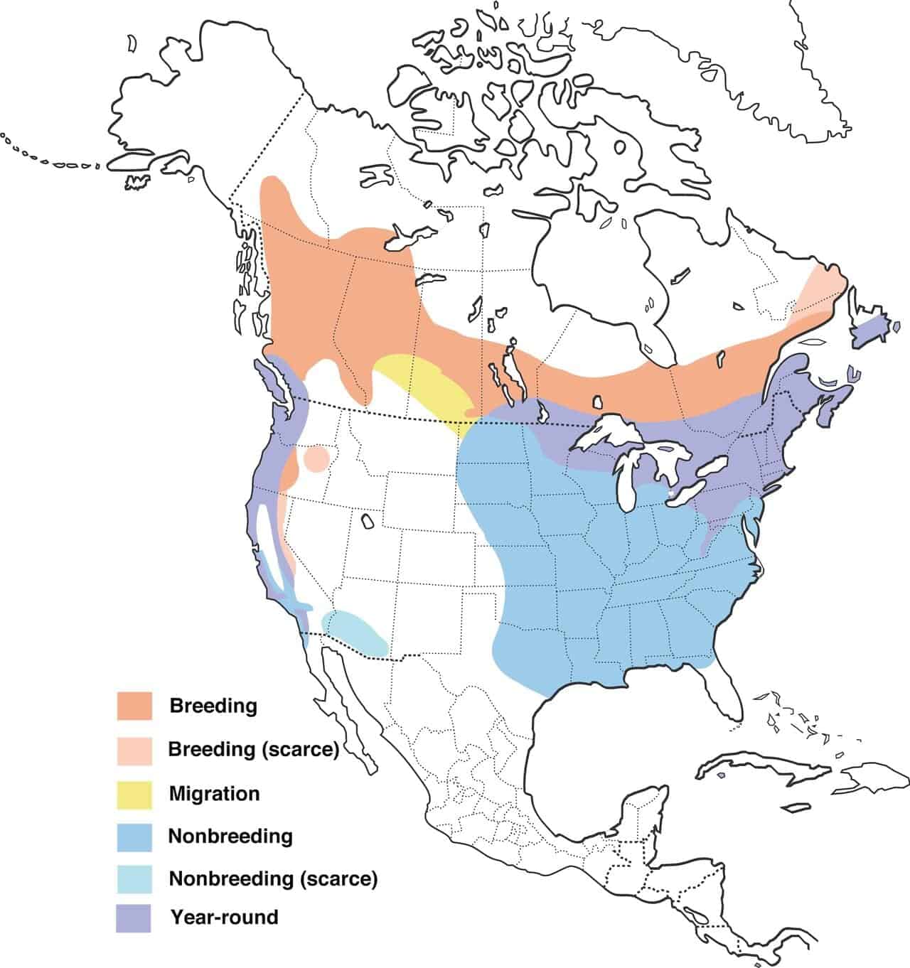 Mapa de distribución del pinzón morado.