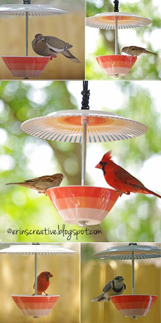 comedero para pájaros cardenal diy de tazón y fuente