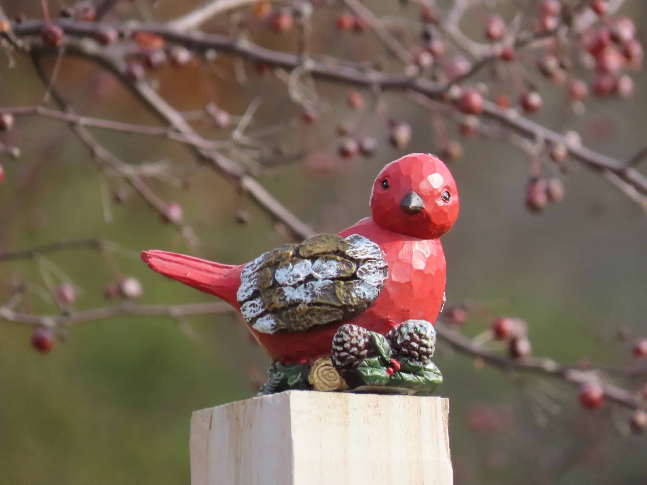Pájaro cardenal de madera tomado con una Canon PowerShot SX70HS desde 25 pies de distancia