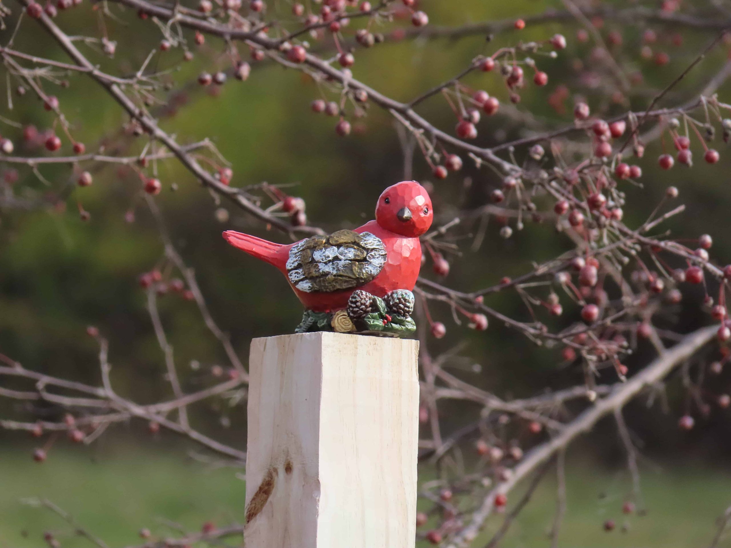 Pájaro cardenal de madera tomado con una Canon PowerShot SX70HS desde 50 pies de distancia