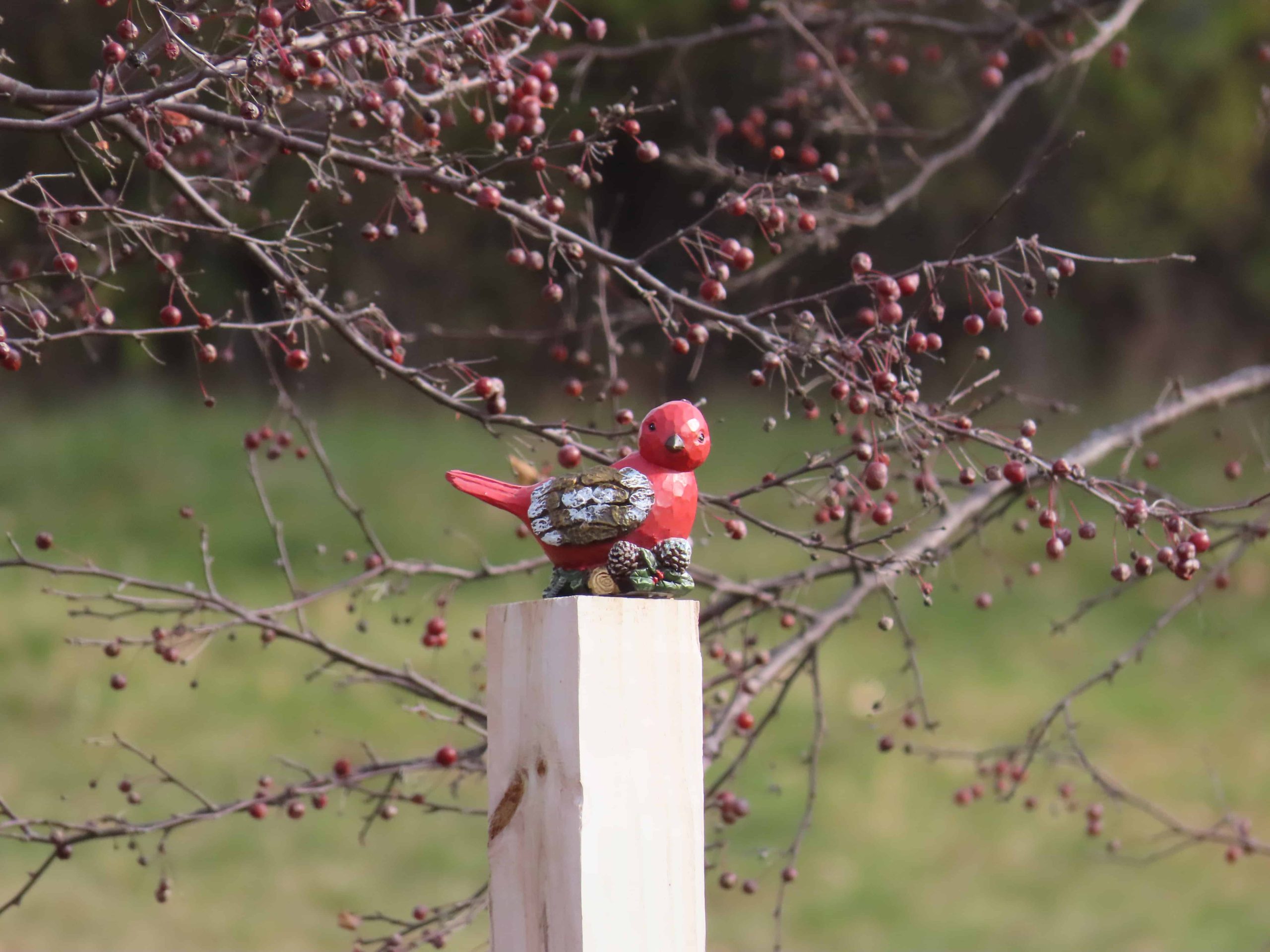 Pájaro cardenal de madera tomado con una Canon PowerShot SX70HS desde 75 pies de distancia