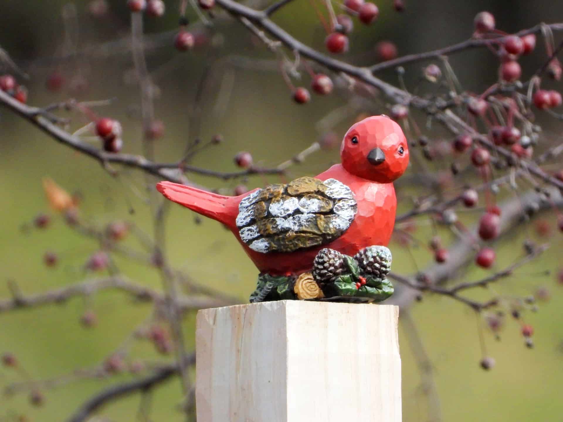 Pájaro cardenal de madera tomado con una Nikon Coolpix P1000 desde 100 pies de distancia