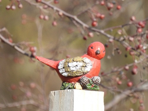 Pájaro cardenal de madera tomado con una Nikon COOLPIX P950 desde 50 pies de distancia