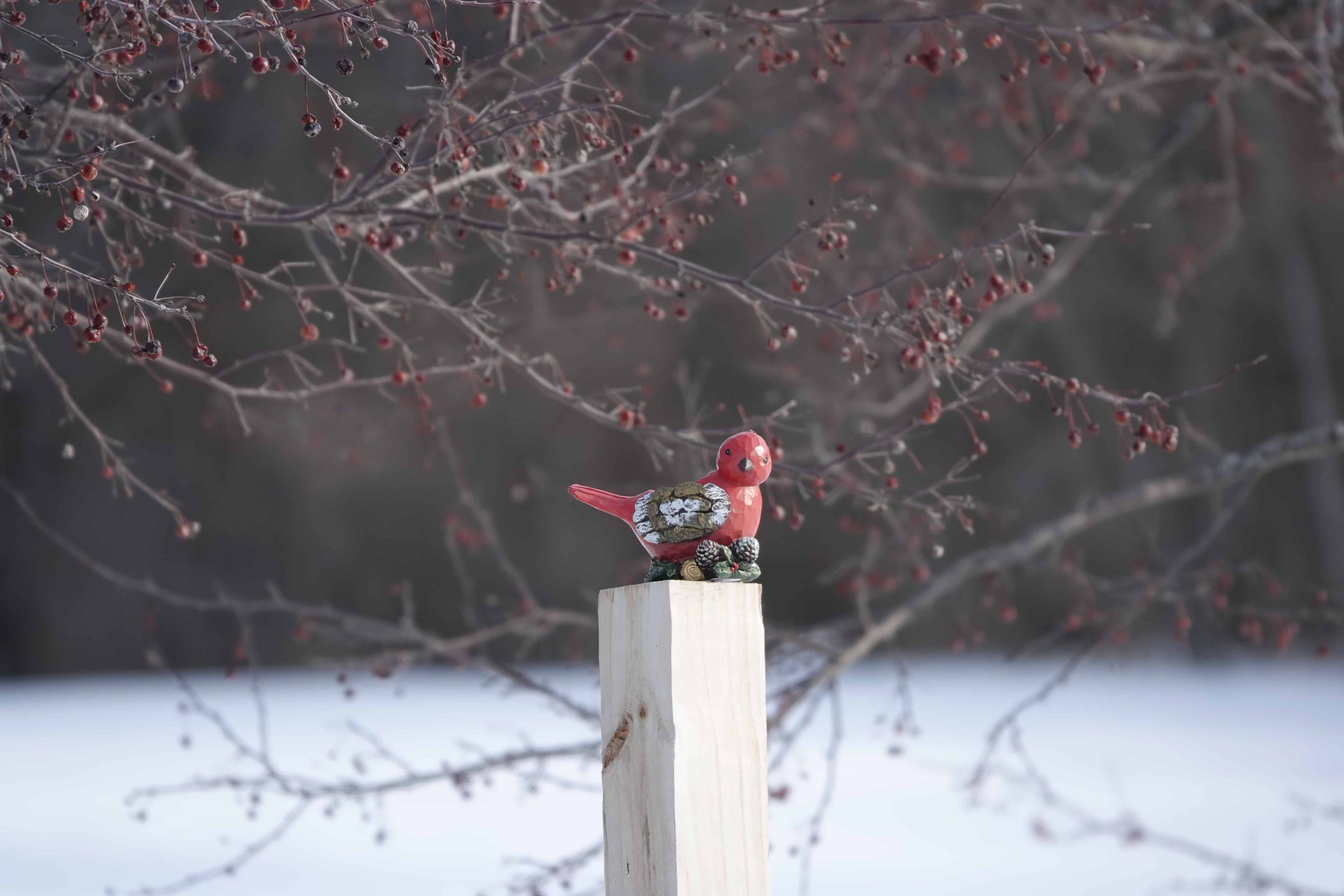 cardenal de madera en un poste