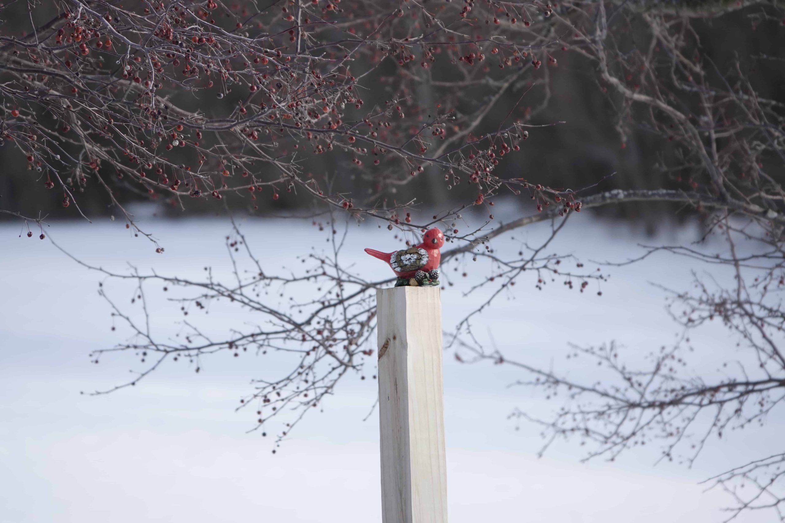 cardenal de madera en un poste