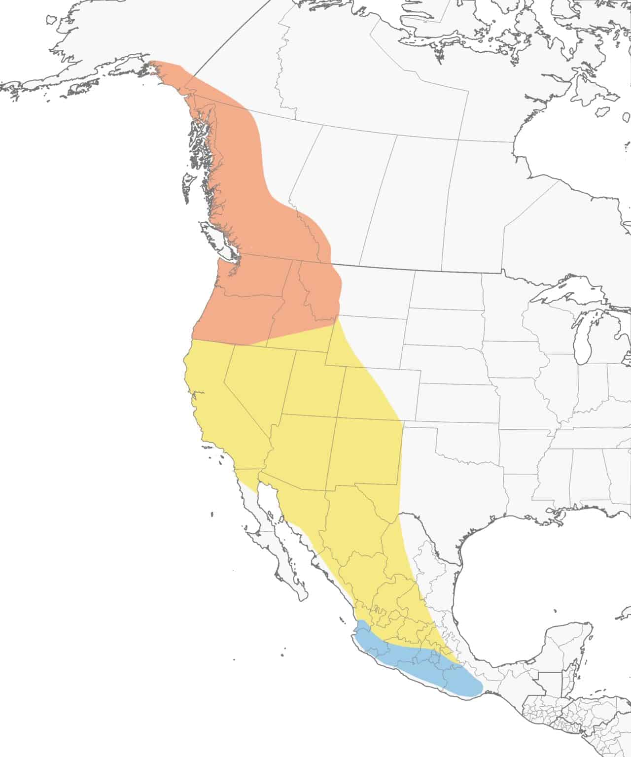 Mapa de distribución del colibrí rufo.