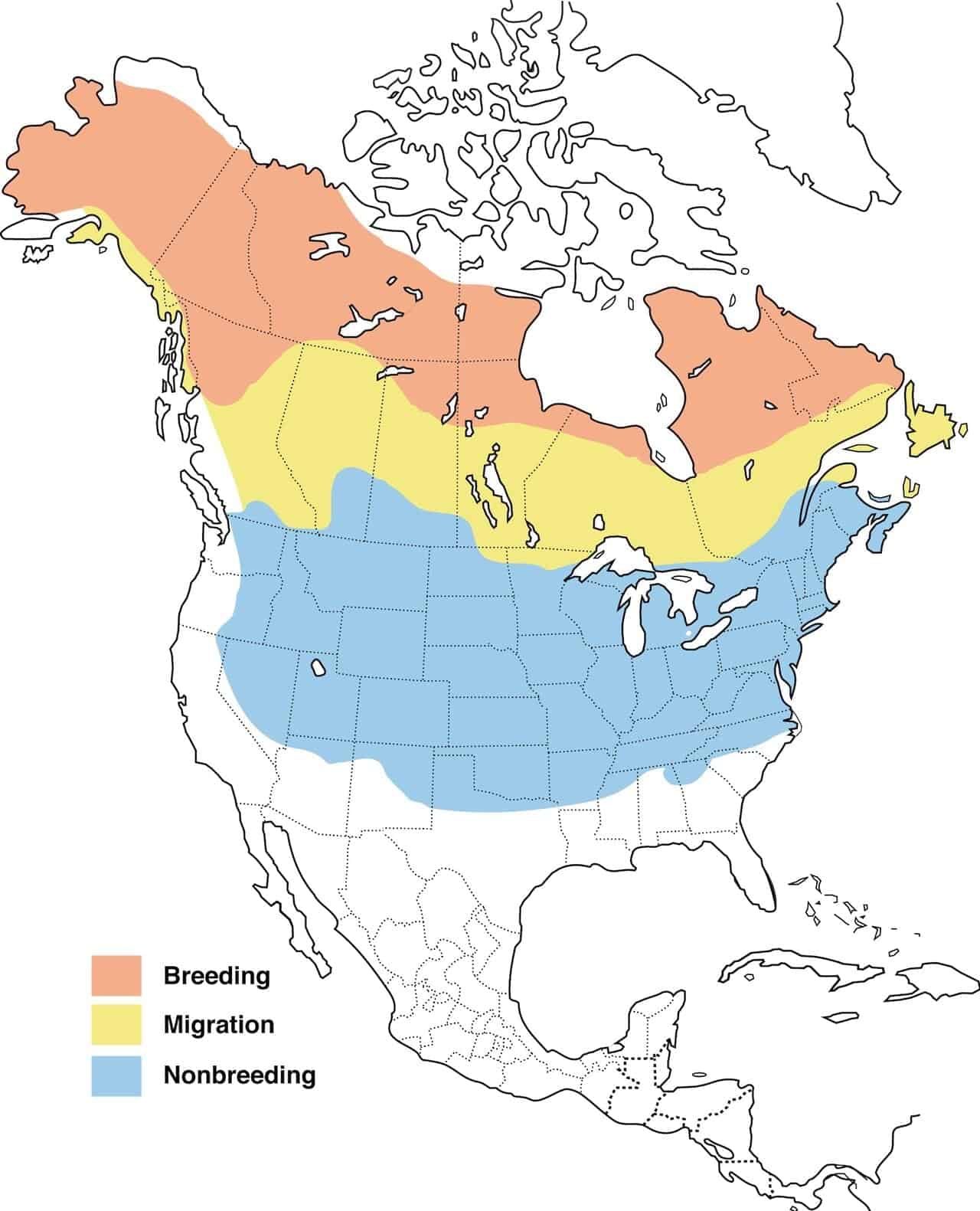 Mapa de distribución del gorrión americano