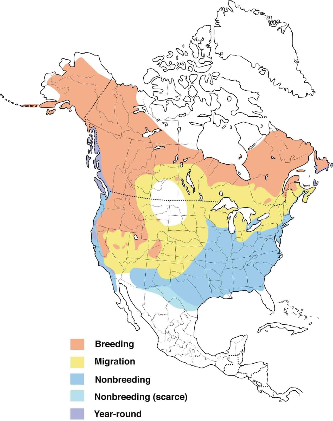 Mapa de distribución del gorrión zorro