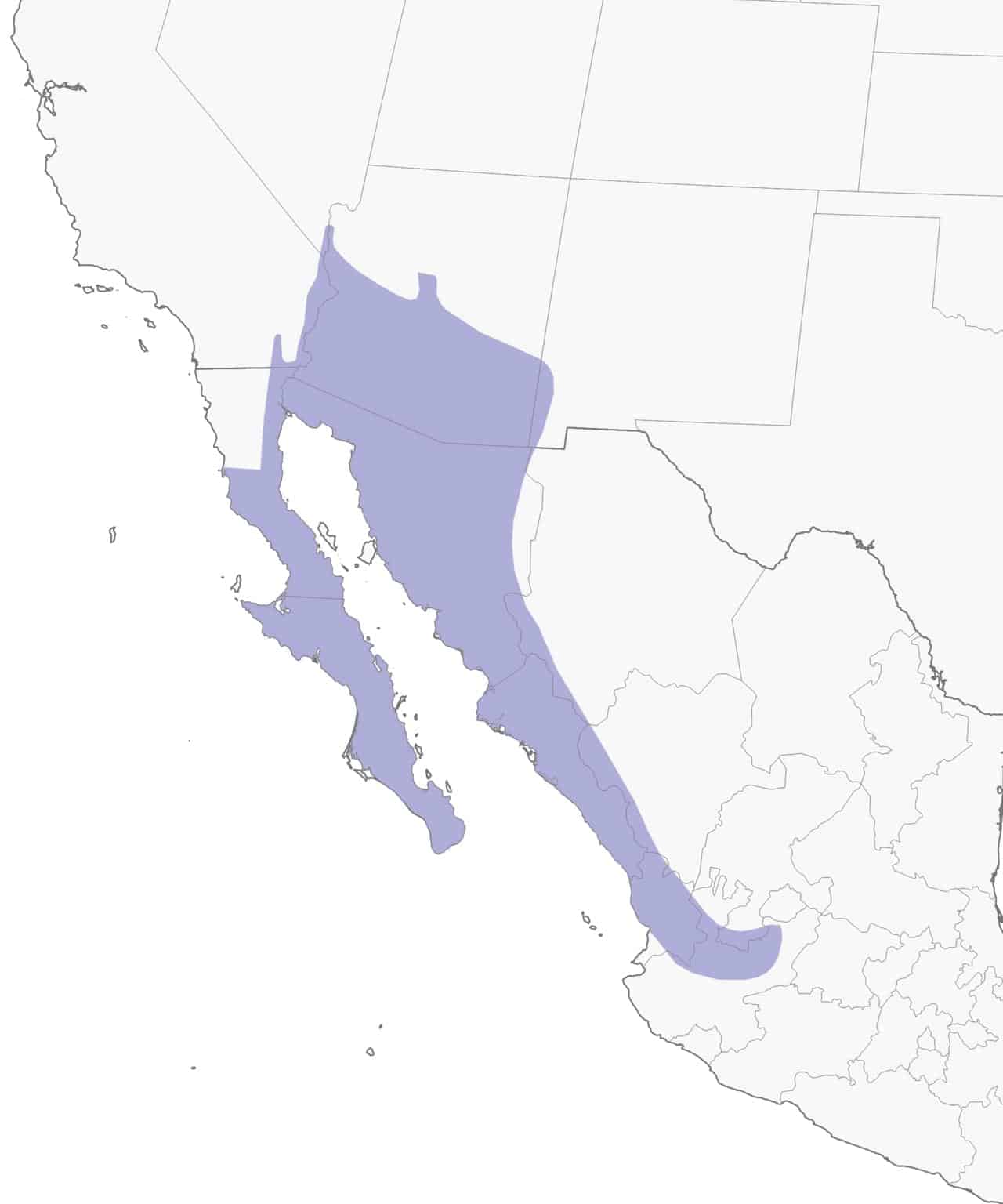 Mapa de distribución del pájaro carpintero de Gila.