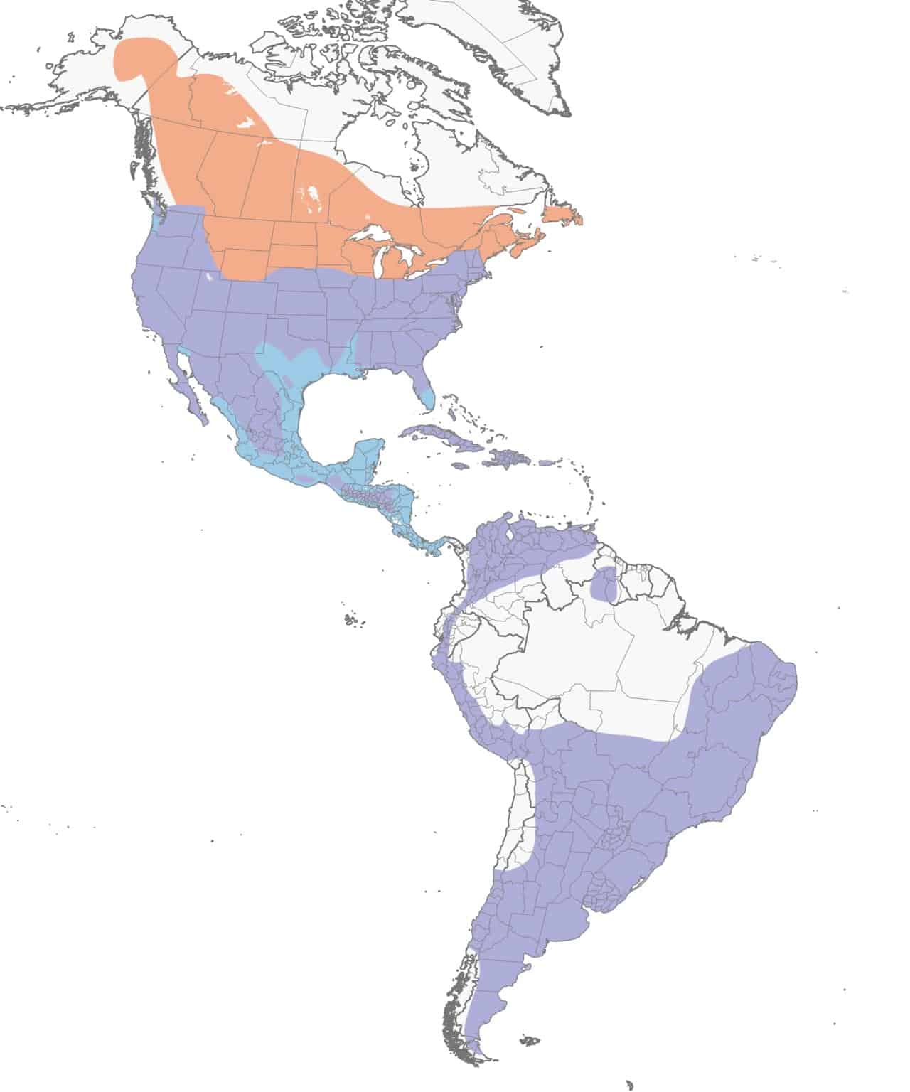 Mapa de distribución del cernícalo americano.