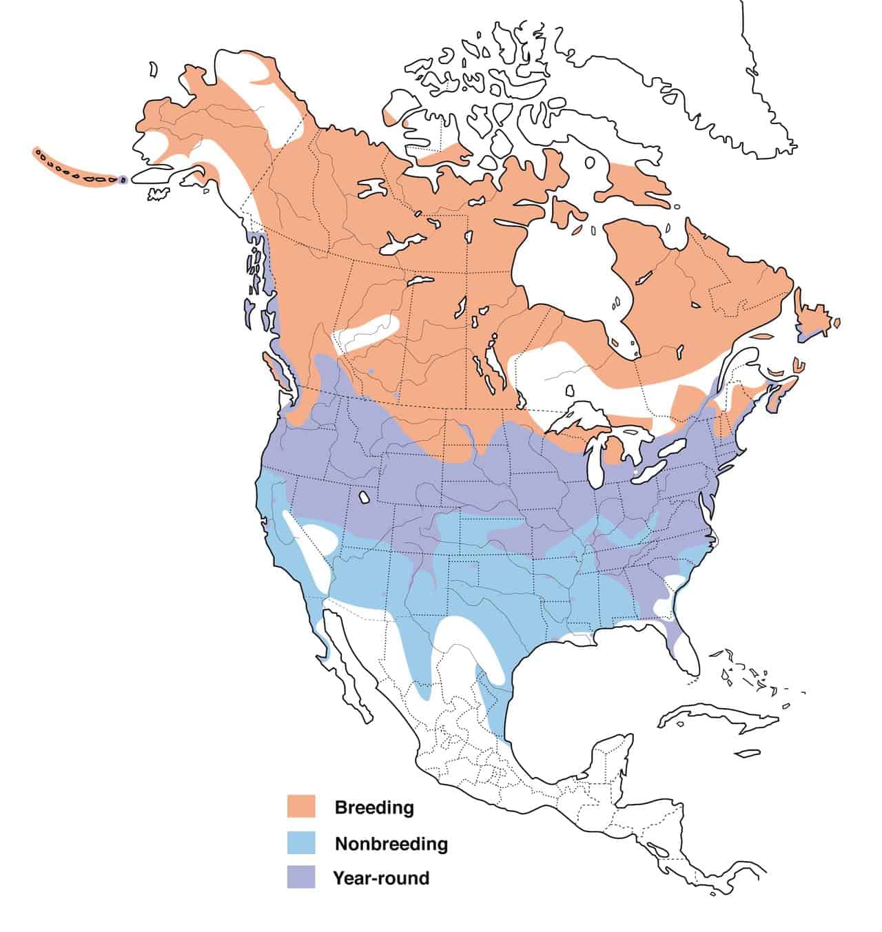 Mapa de rango de ganso de Canadá.