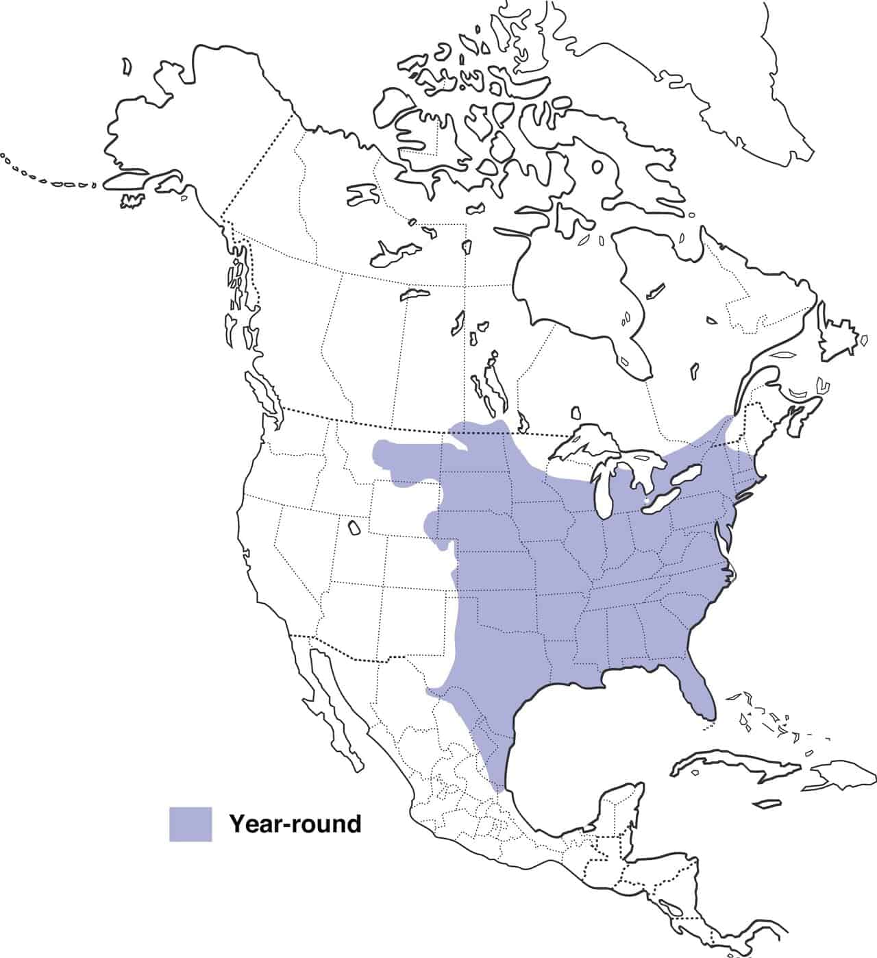 Mapa de distribución del búho chillón del este.