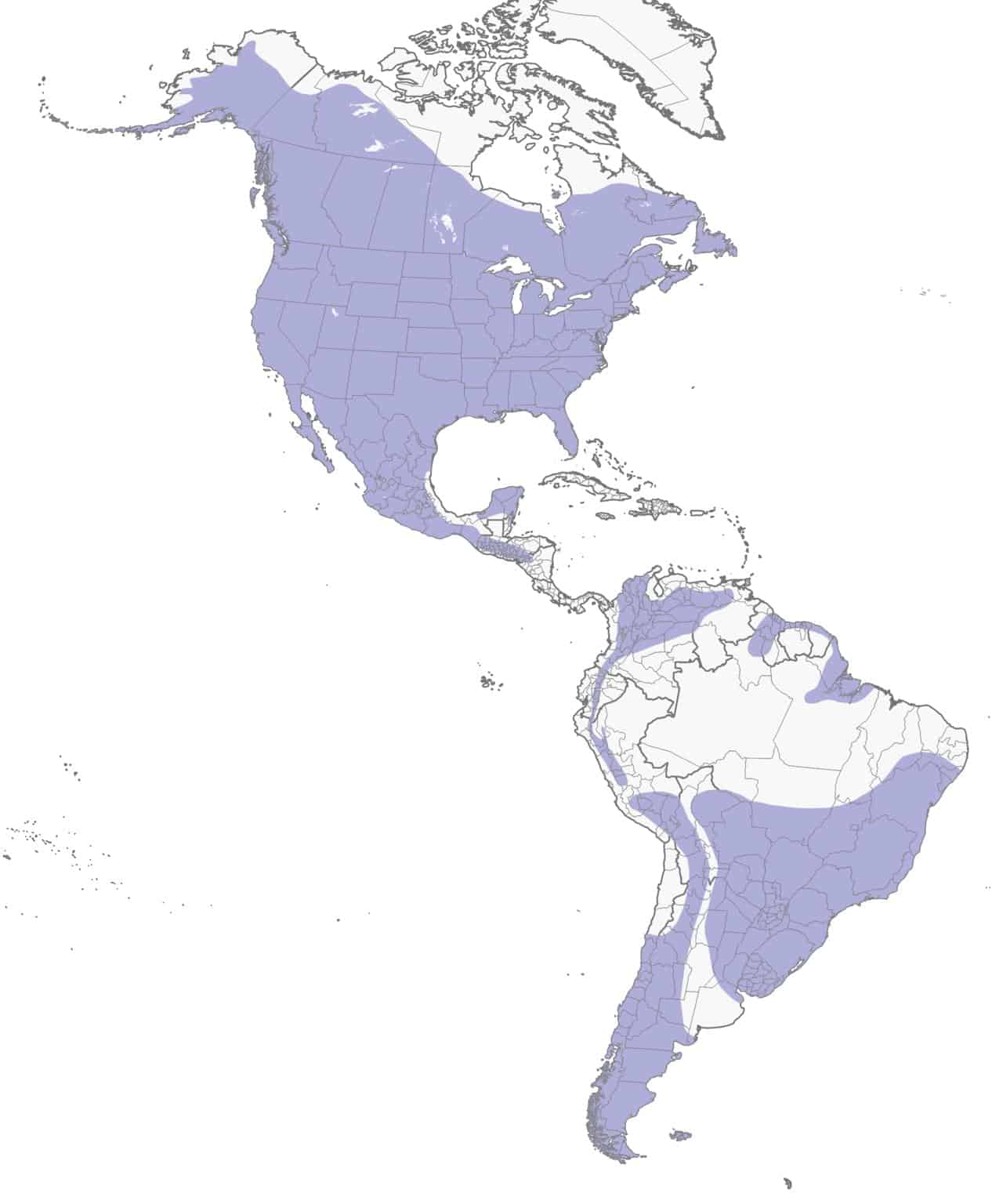 Gran mapa de distribución del búho cornudo.