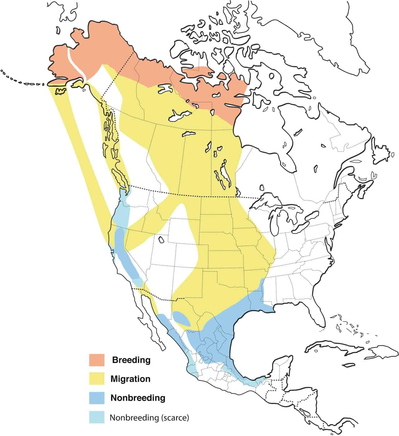 Gran mapa de distribución del ganso de frente blanca.
