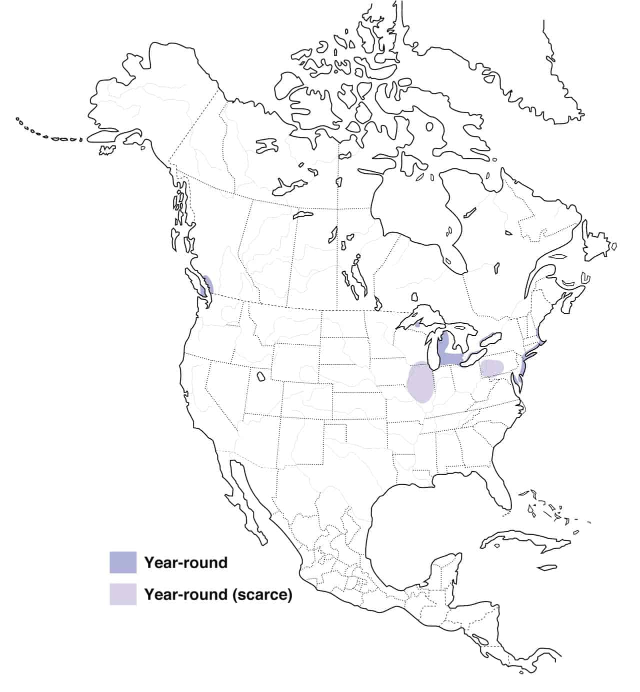 Mapa de distribución del cisne mudo.